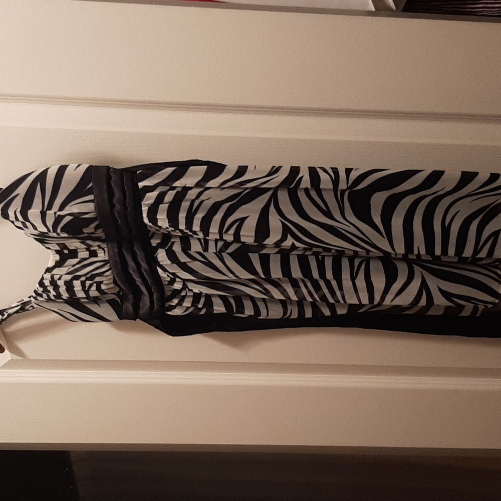 Sweet Storm zebra mini dress